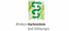 Kliniken Hartenstein GmbH & Co. KG Logo