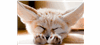 Firmenlogo: Nori_Update_to_Go